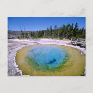 Nordamerika, USA, Wyoming, Yellowstone 2 Postkarte