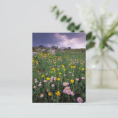 Nordamerika, USA, Wyoming, Yellowstone 2 Postkarte (Stehend Vorderseite)