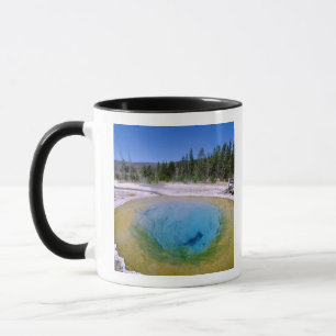 Nordamerika, USA, Wyoming, Yellowstone 2 Tasse