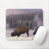 Nordamerika, USA, Wyoming, Yellowstone NP Mousepad (Mit Mouse)