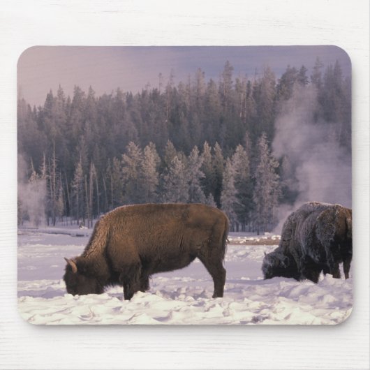 Nordamerika, USA, Wyoming, Yellowstone NP Mousepad (Vorne)
