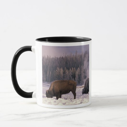 Nordamerika, USA, Wyoming, Yellowstone NP Tasse (Links)