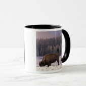Nordamerika, USA, Wyoming, Yellowstone NP Tasse (VorderseiteRechts)