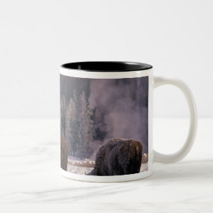 Nordamerika, USA, Wyoming, Yellowstone NP, Zweifarbige Tasse