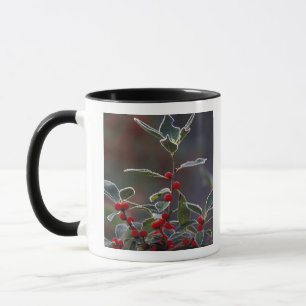 Nordamerika, Vereinigte Staaten, New England. Stec Tasse