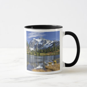 Nordamerika, Washington, Cascades. Shuksan Tasse