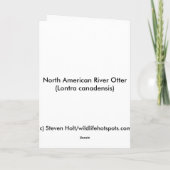 Nordamerikanische Fluss-Otter Karte (Rückseite)