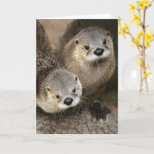 Nordamerikanische Fluss-Otter Karte (Gelbe Blume)