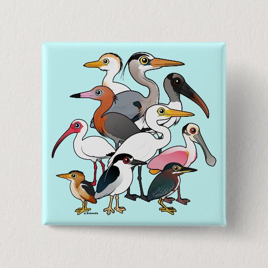 Nordamerikanische Gewässer Button (Vorderseite)