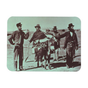 Nordamerikanische Goldgräber, c.1849 (b/w Foto) Magnet