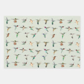 Nordamerikanische Hummingvögel Geschenkpapier Set (Vorderseite 2)