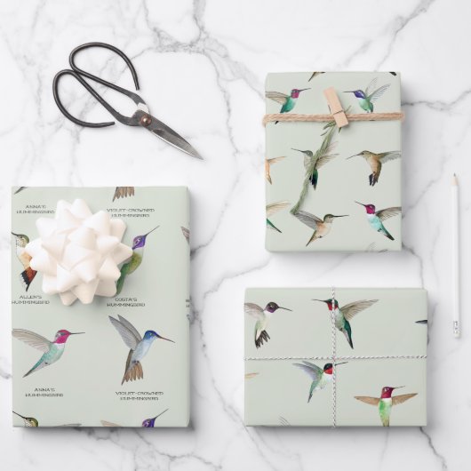 Nordamerikanische Hummingvögel Geschenkpapier Set (Vorderseite)