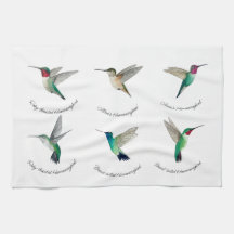 Nordamerikanische Hummingvögel