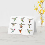 Nordamerikanische Hummingvögel Karte (Gelbe Blume)