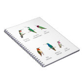 Nordamerikanische Hummingvögel Notizblock (Rechte Seite)