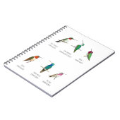 Nordamerikanische Hummingvögel Notizblock (Linke Seite)