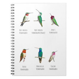 Nordamerikanische Hummingvögel Notizblock