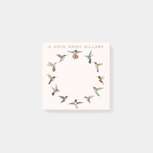 Nordamerikanische Hummingvögel Post-it Klebezettel (Vorderseite)