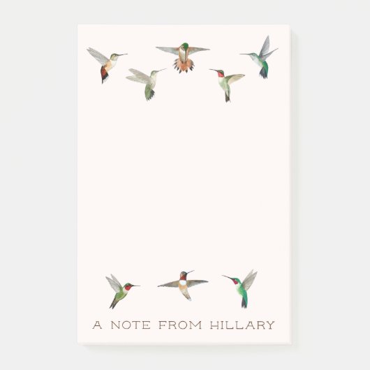 Nordamerikanische Hummingvögel Post-it Notes Klebezettel (Vorderseite)