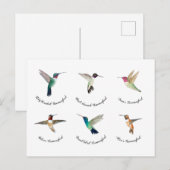 Nordamerikanische Hummingvögel Postkarte (Vorne/Hinten)