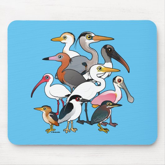 Nordamerikanische Stelzvögel Mousepad (Vorne)