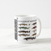 Nordamerikanische Stör-Plakat-Tasse Kaffeetasse (VorderseiteRechts)