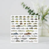 Nordamerikanische Süßwasserfischgruppe Karte (Stehend Vorderseite)