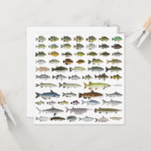 Nordamerikanische Süßwasserfischgruppe Karte (Vorderseite/Rückseite Beispiel)