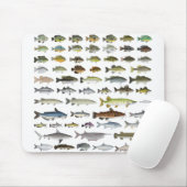 Nordamerikanische Süßwasserfischgruppe Mousepad (Mit Mouse)