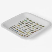 Nordamerikanische Süßwasserfischgruppe Pappteller (Gewinkelt)