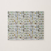 Nordamerikanische Süßwasserfischgruppe Puzzle (Horizontal)