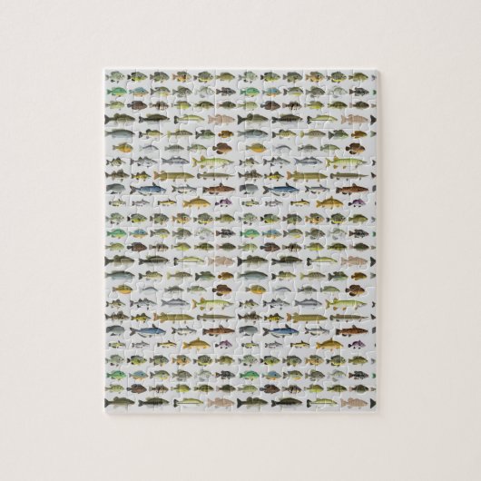 Nordamerikanische Süßwasserfischgruppe Puzzle (Vertikal)