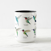 Nordamerikanische Tasse Humingbirds (Zentrum)
