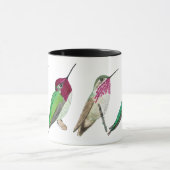 Nordamerikanische Tasse Hummingbirds (Zentrum)