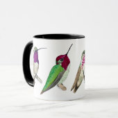 Nordamerikanische Tasse Hummingbirds (Vorderseite Links)