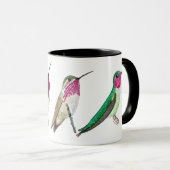 Nordamerikanische Tasse Hummingbirds (VorderseiteRechts)