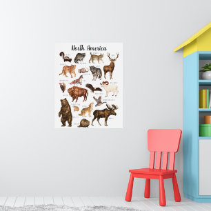 Nordamerikanische Tiere Bildungsunterricht Poster