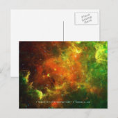 Nordamerikanische und Pelikane Postkarte (Vorne/Hinten)