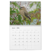 Nordamerikanische Vögel 2010 Kalender (Mär 2026)