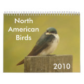 Nordamerikanische Vögel 2010 Kalender (Titelbild)