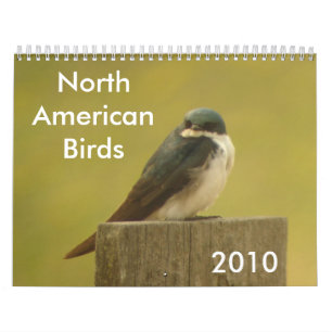 Nordamerikanische Vögel 2010 Kalender