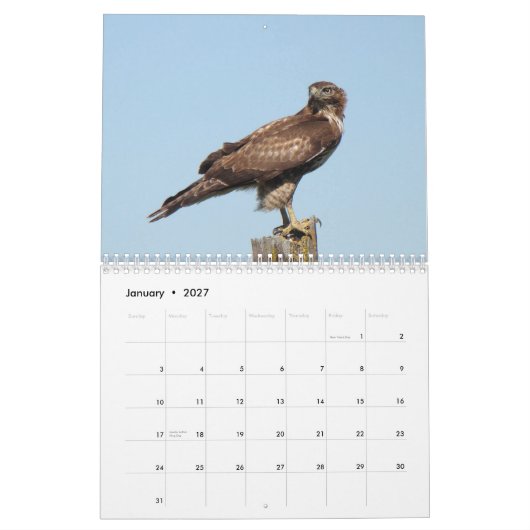 Nordamerikanische Vögel 2010 Kalender (Jan 2027)