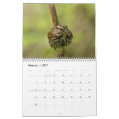Nordamerikanische Vögel 2010 Kalender (Feb 2027)