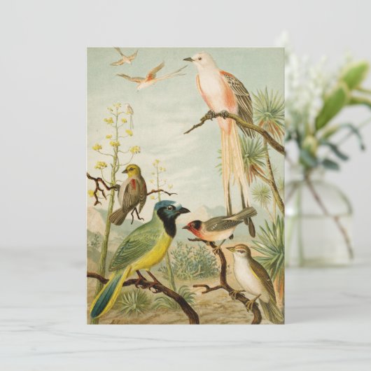 Nordamerikanische Vögel | Anton Goering (Stehend Vorderseite)