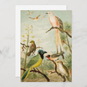 Nordamerikanische Vögel | Anton Goering (Vorne/Hinten)