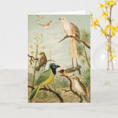 Nordamerikanische Vögel | Anton Goering Karte (Gelbe Blume)