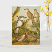 Nordamerikanische Vögel | Anton Goering Karte (Gelbe Blume)