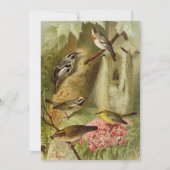 Nordamerikanische Vögel | Gustav Mü tzel Card