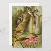 Nordamerikanische Vögel | Gustav Mü tzel Card (Vorne/Hinten)