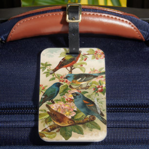 Nordamerikanische Vögel Gustav Mü tzel Gepäckanhänger